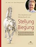Die Anatomie und Biomechanik von Stellung und Biegung: Meilensteine auf dem Weg zur korrekten...