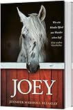 Joey - Wie ein blindes Pferd uns Wunder sehen ließ: Eine wahre Geschichte