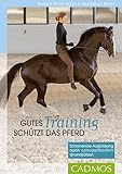Gutes Training schützt das Pferd: Schonende Ausbildung nach osteopathischen Grundsätzen