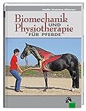 Biomechanik und Physiotherapie für Pferde