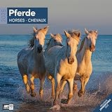 Pferde 2025, Wandkalender / Broschürenkalender im Hochformat (aufgeklappt 30x60 cm) - Art12 -...
